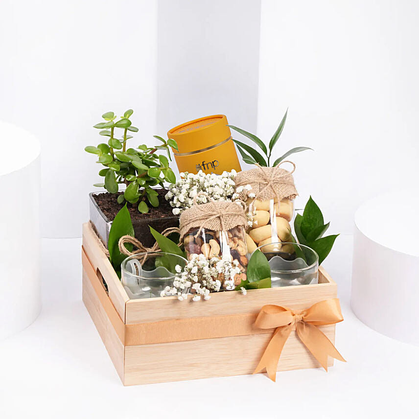 Tea and Plant Gift Hamper