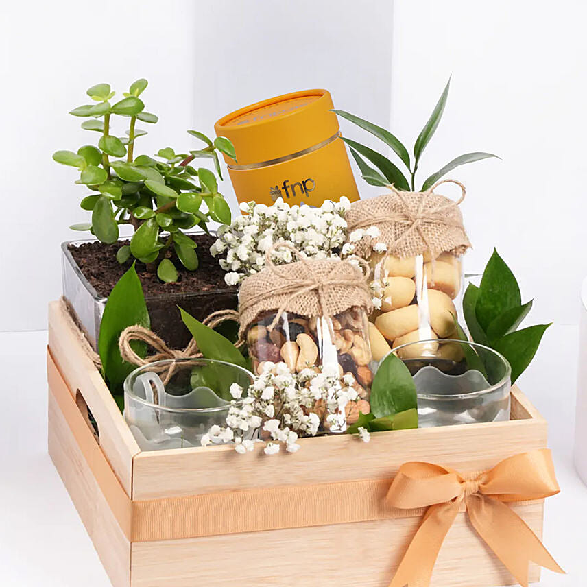Tea and Plant Gift Hamper
