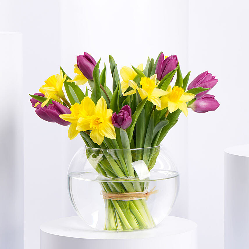 Tulips and Daffodils Beauty in Fish Bowl