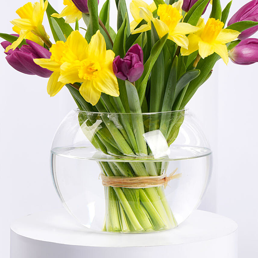 Tulips and Daffodils Beauty in Fish Bowl