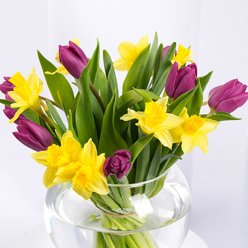 Tulips and Daffodils Beauty in Fish Bowl