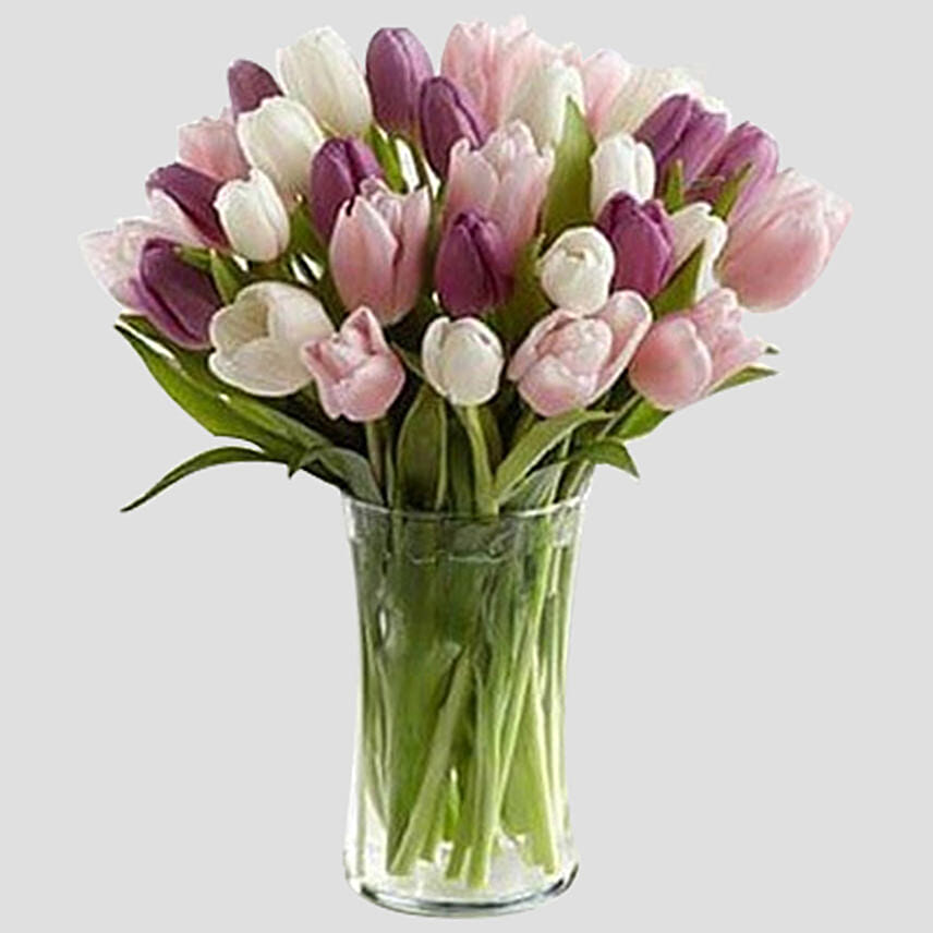 Tulips & Vanilla Cake Combo
