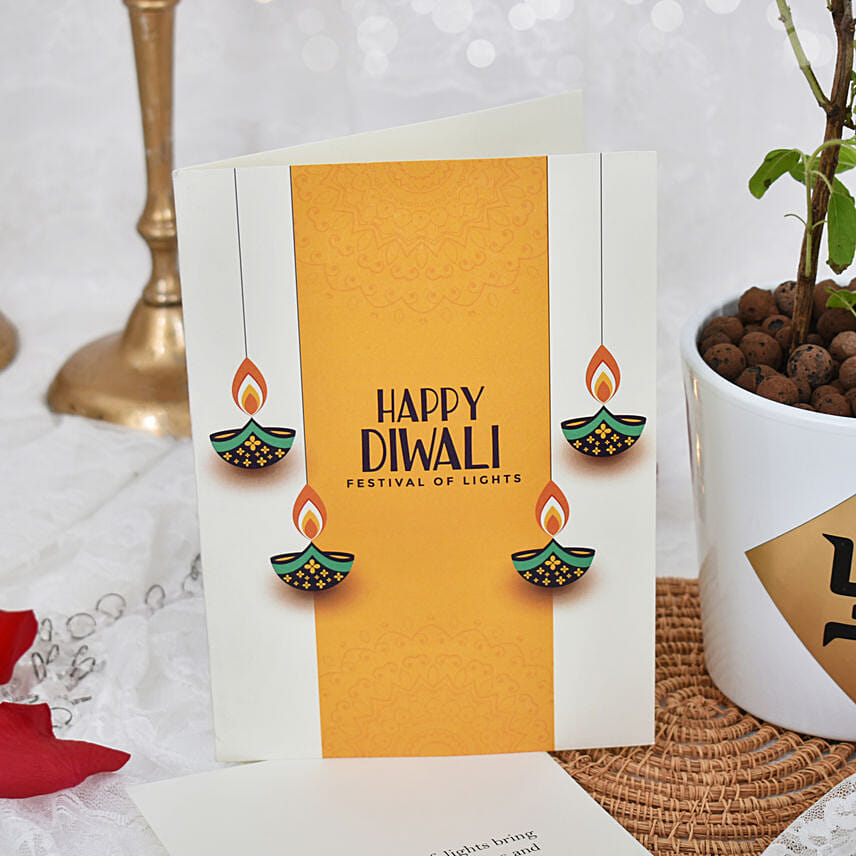 Tulsi Plant With Nuts and Card