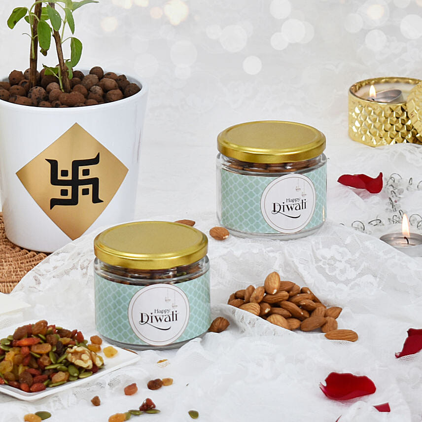 Tulsi Plant With Nuts and Card