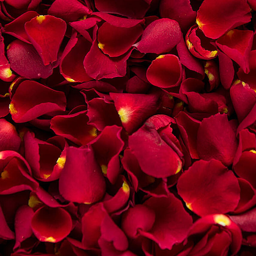 Two Kg Rose Petals