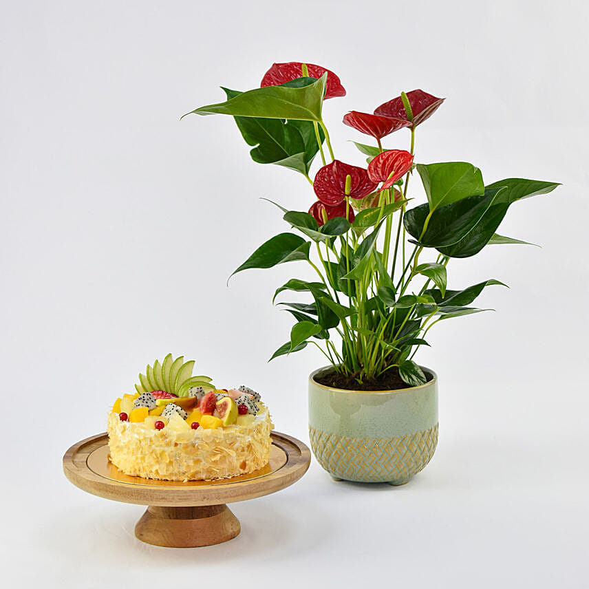 Vegan Fruit Cake with Plant