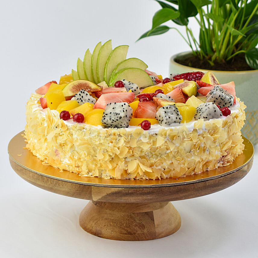 Vegan Fruit Cake with Plant