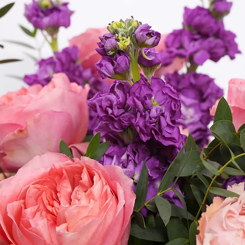 Violet Bloom Symphony