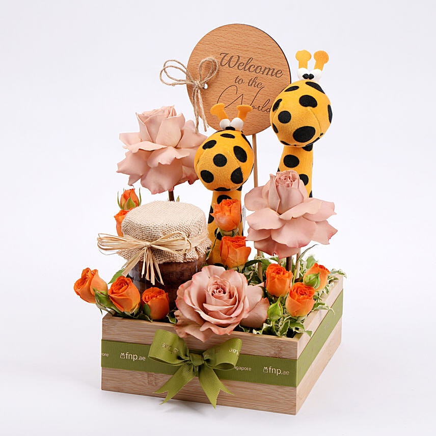 Welcome New Born Gift Tray