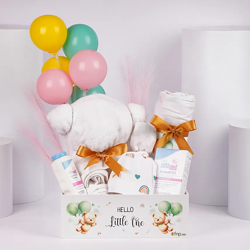 Welcome to the World Baby Box