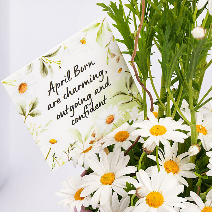 White Daisy Birthday Arrangement