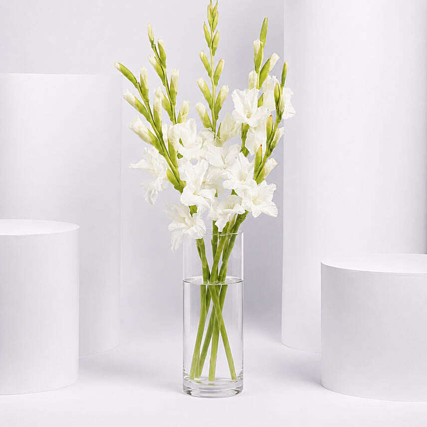 White Gladiolus In Premium Vase