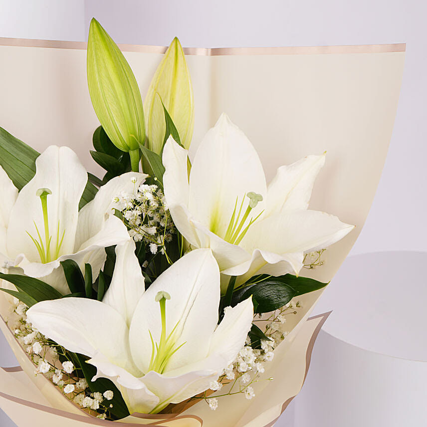 White Oriental Lily