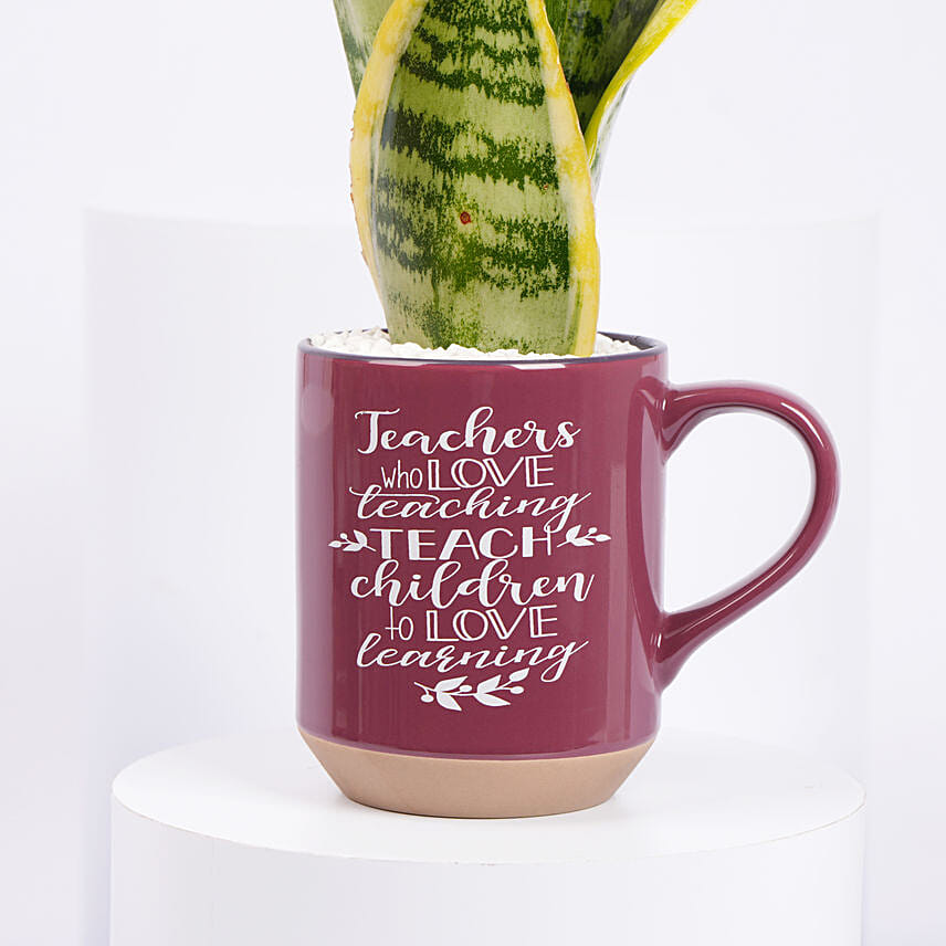 Worlds Best Teacher Snake Plant