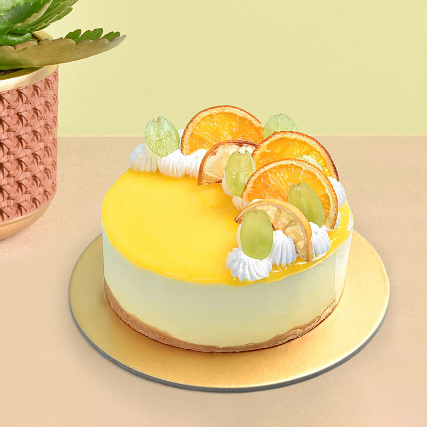 Yellow Kalanchoe With Cheesecake