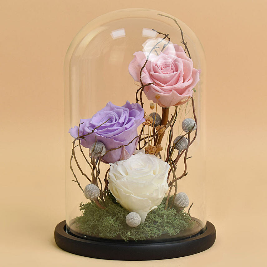 Forever Roses in a Dome Forever Roses in a Dome: One Hour Delivery Flowers
