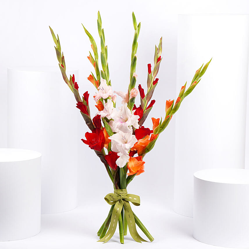 Gladiolus Mix Color Bouquet Gladiolus Mix Color Bouquet: