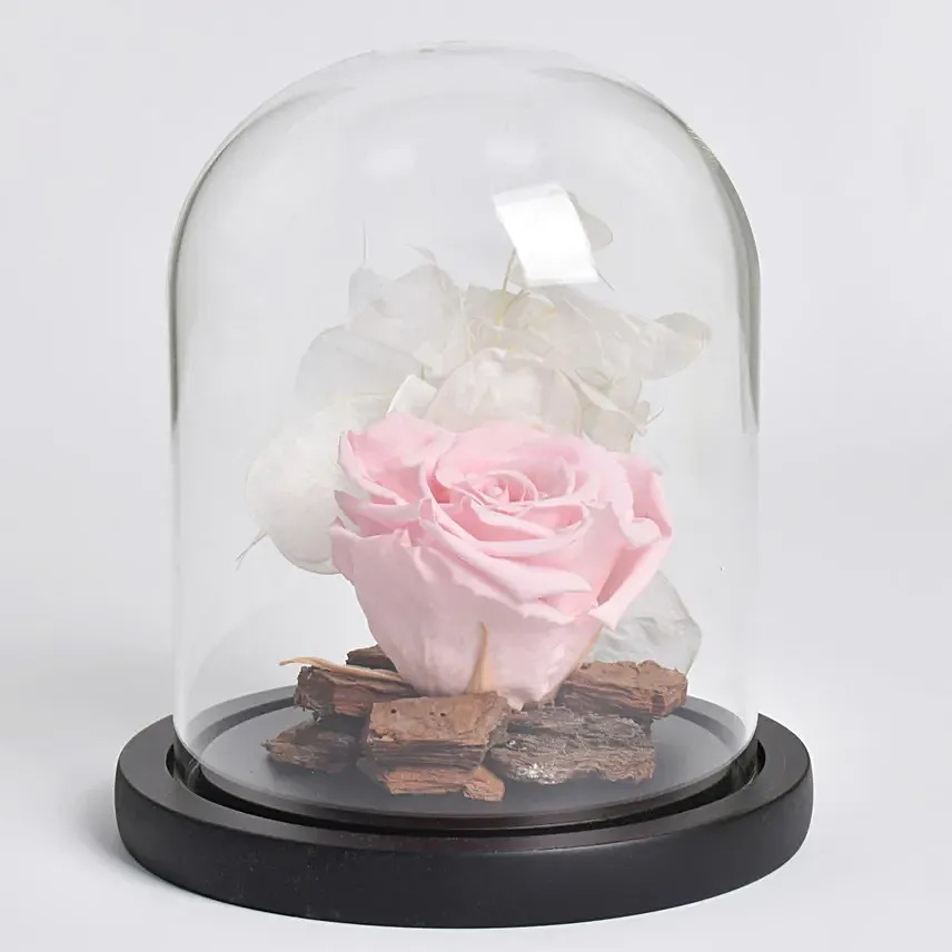 Graceful Pink Forever Rose: Women's Day Flowers