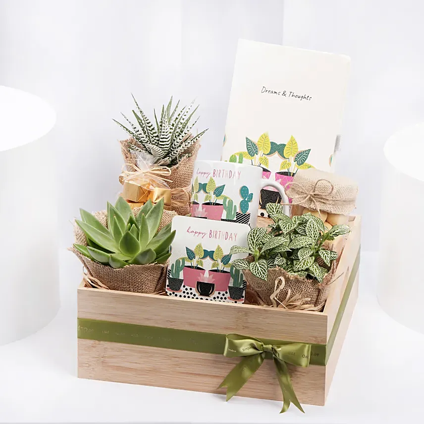 صينية خشبية تحتوي على تشكيلة نباتات مغلفة بالجوت وكويز ومج  صينية خشبية تحتوي على تشكيلة نباتات مغلفة بالجوت وكويز ومج : بوكسات هدايا عيد ميلاد
