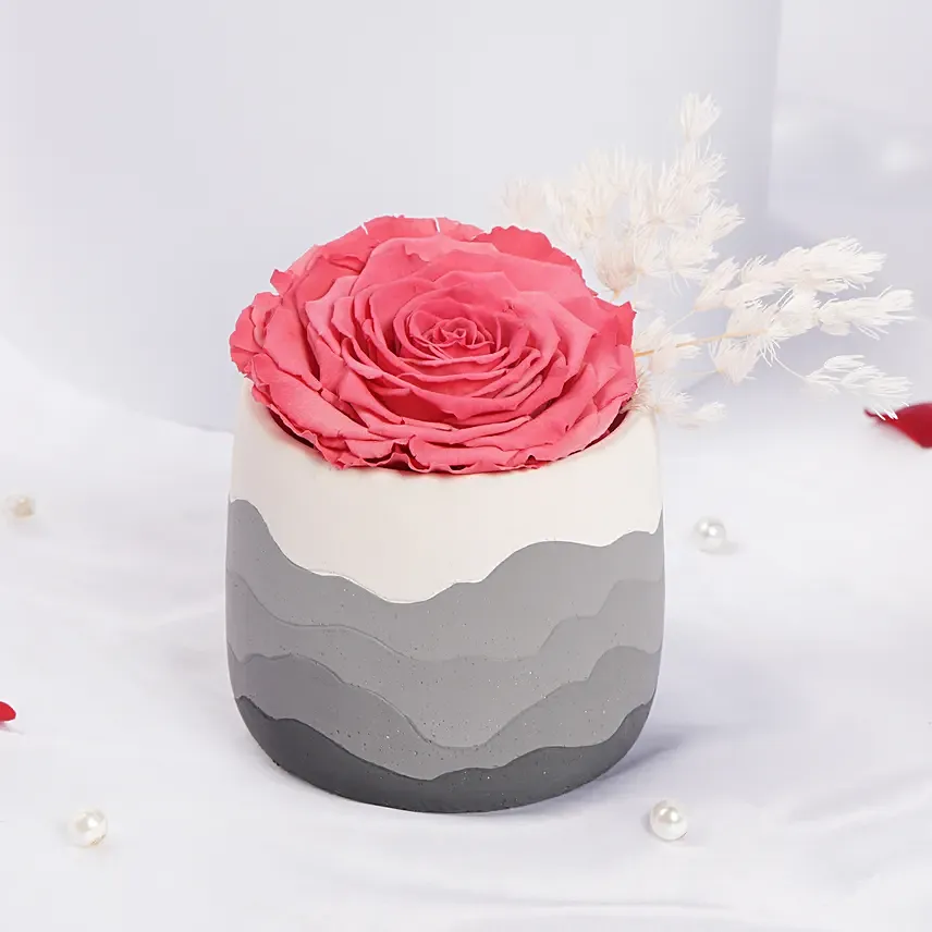 Large Fussia Preserved Rose with Premium Vase Large Fussia Preserved Rose with Premium Vase: Forever Roses