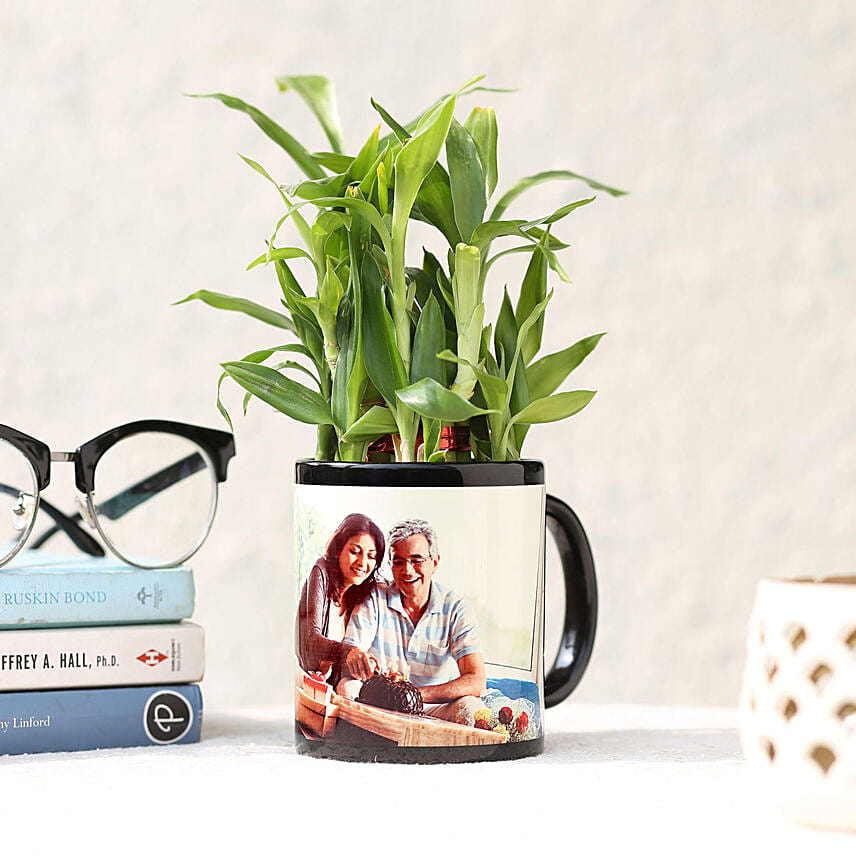 Lucky Bamboo In Personalised Black Mug Lucky Bamboo In Personalised Black Mug: Personalised Gifts to Ras Al Khaimah