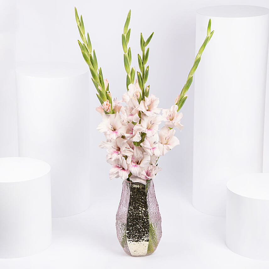 Pink Gladiolus In Premium Vase Pink Gladiolus In Premium Vase:
