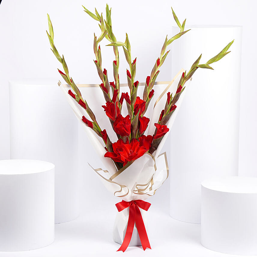 Red Gladiolus Bouquet Red Gladiolus Bouquet: Gladiolus Flowers