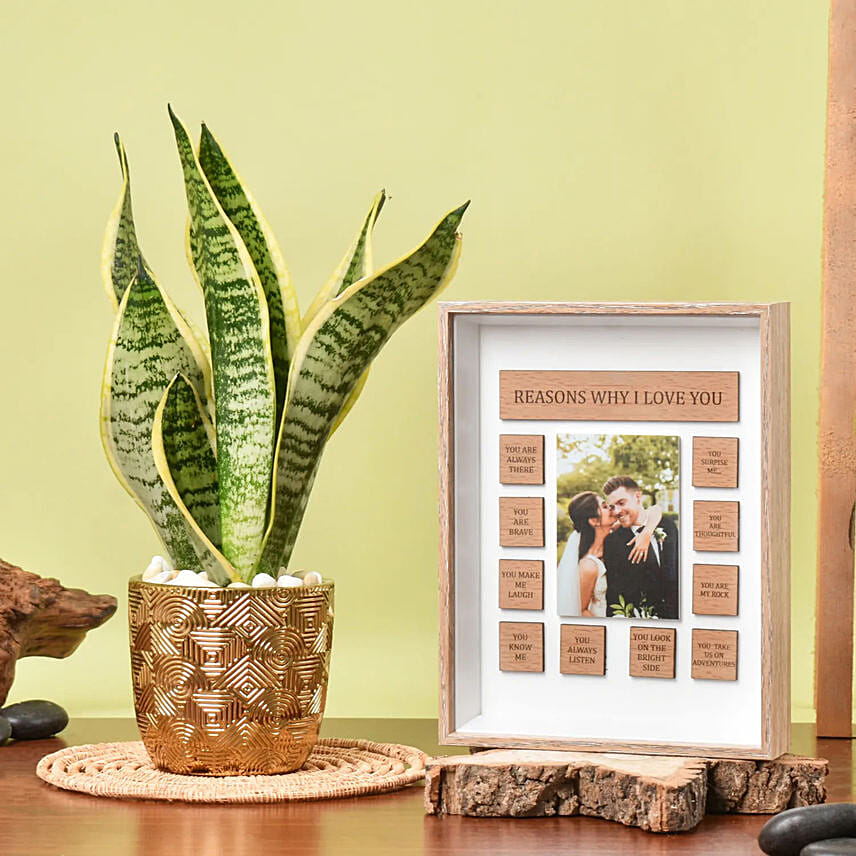 Sansevieria Plant with Personalised Frame Sansevieria Plant with Personalised Frame: Gift for Boyfriend