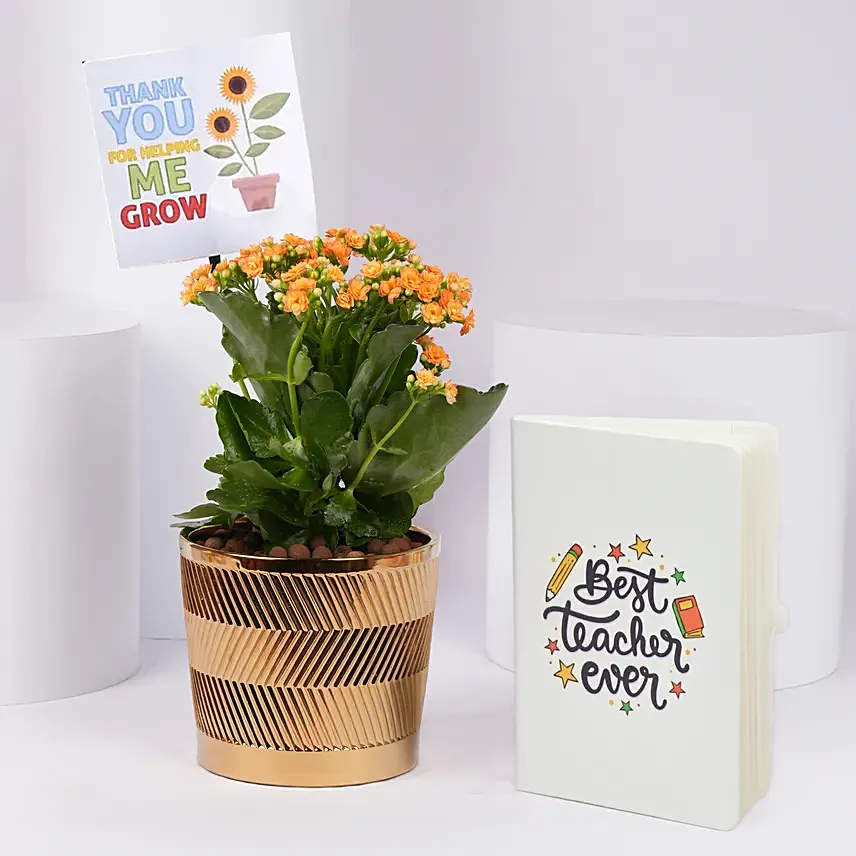 هدايا يوم المعلم - نبتة كلانشوا مع دفتر ملاحظات: تنسيقات هدايا