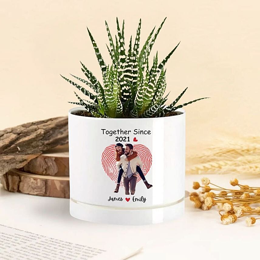 Together Forever Echeveria Plant Together Forever Echeveria Plant: