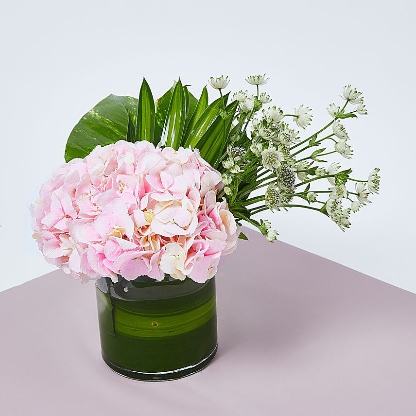 Pink Hydrengea In Vase