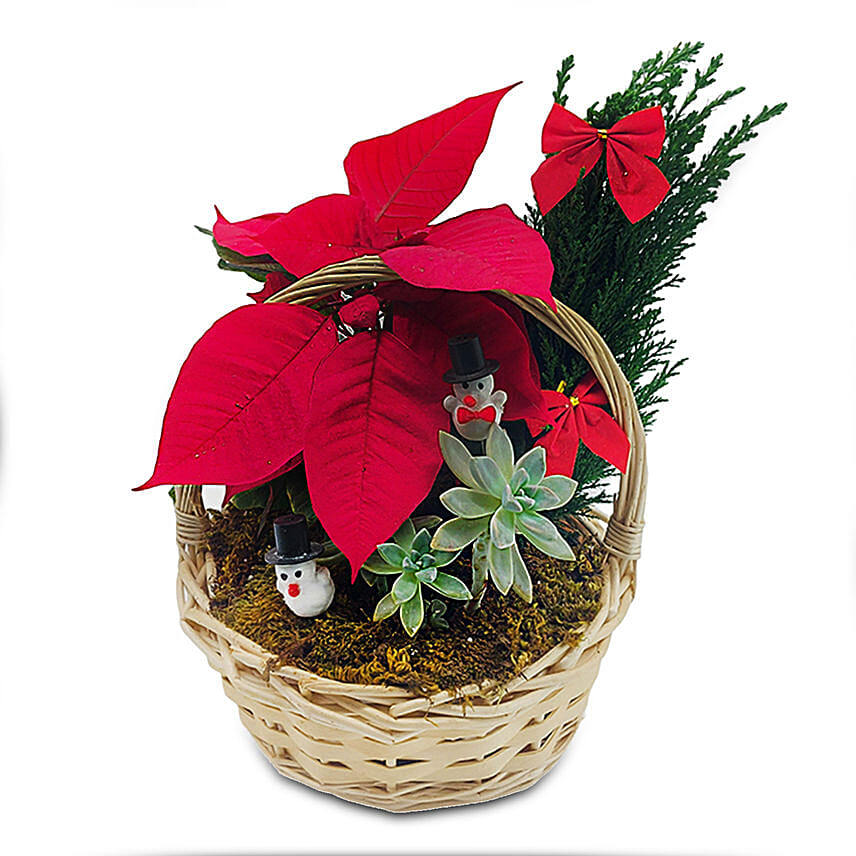 Christmas Plant Basket