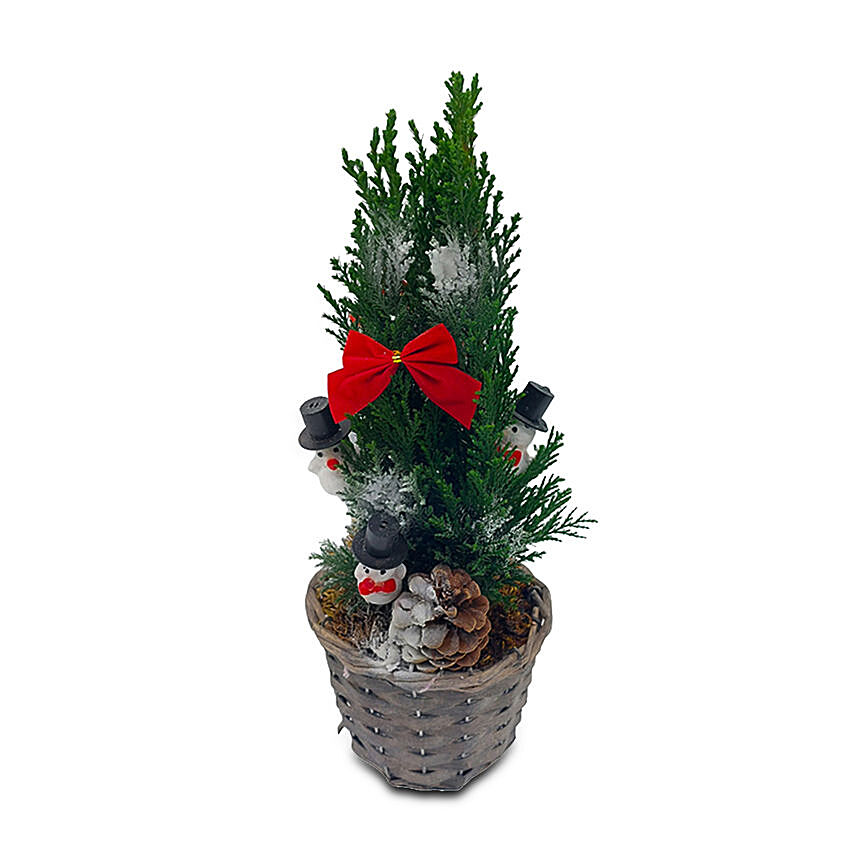 Christmas Tree In A Basket