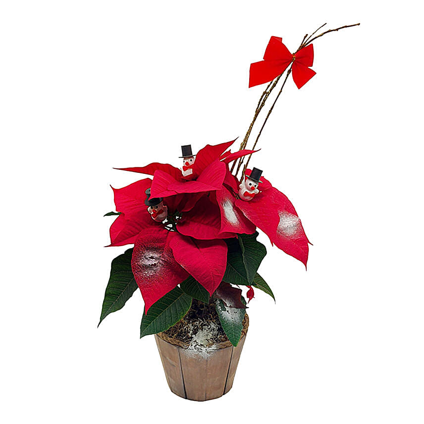 Decorated Poinsettia Pot