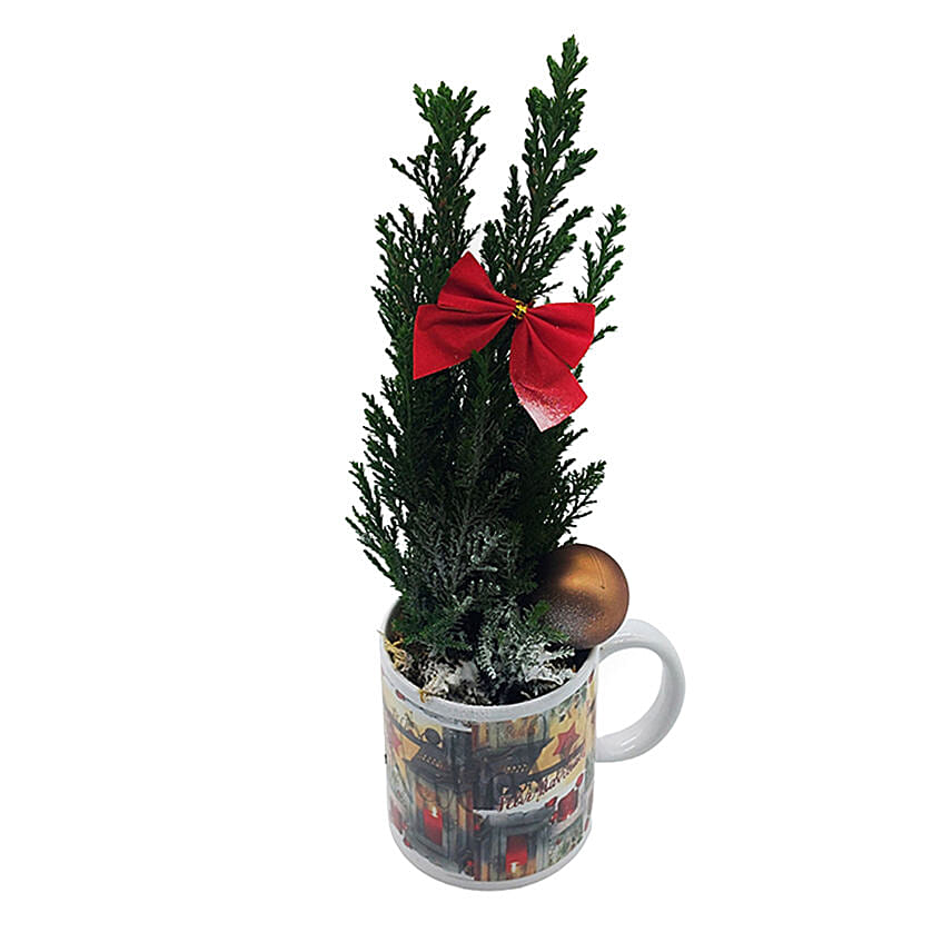 Poinsettia In A Mug