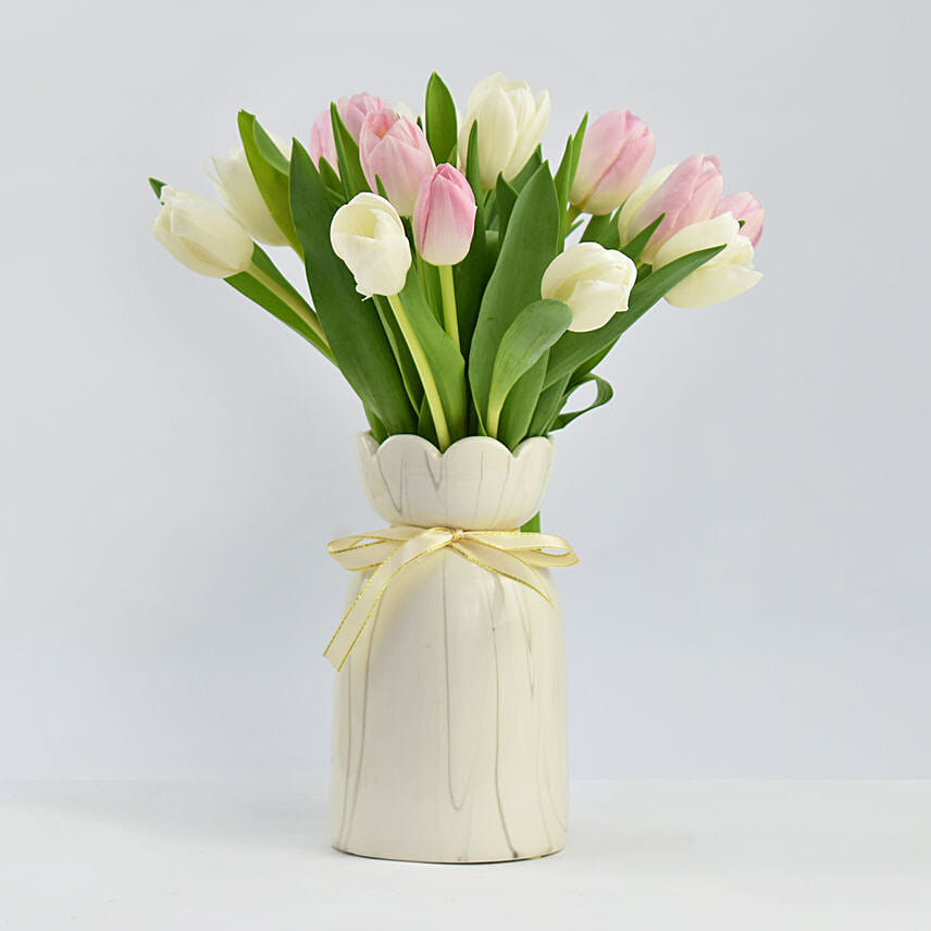 Tulips Dew Drops Tulips Dew Drops: