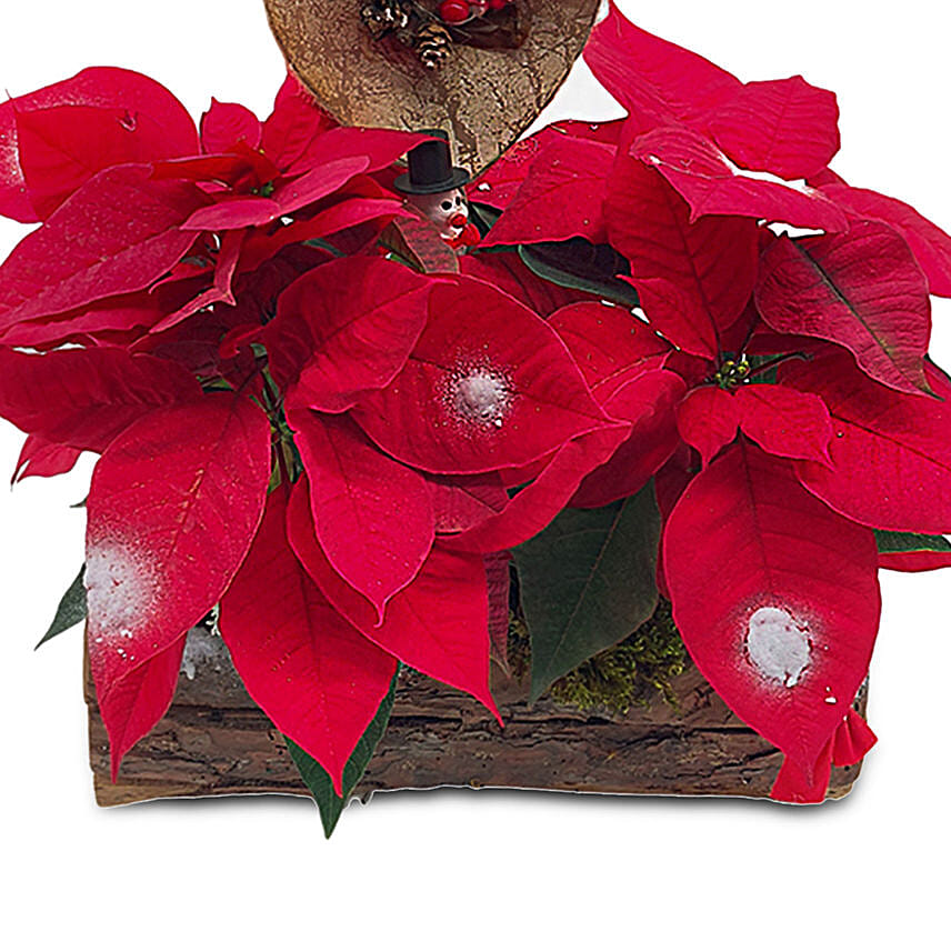 A Gift Full Of Love