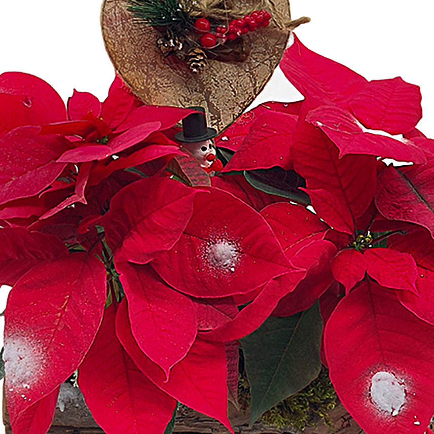 A Gift Full Of Love