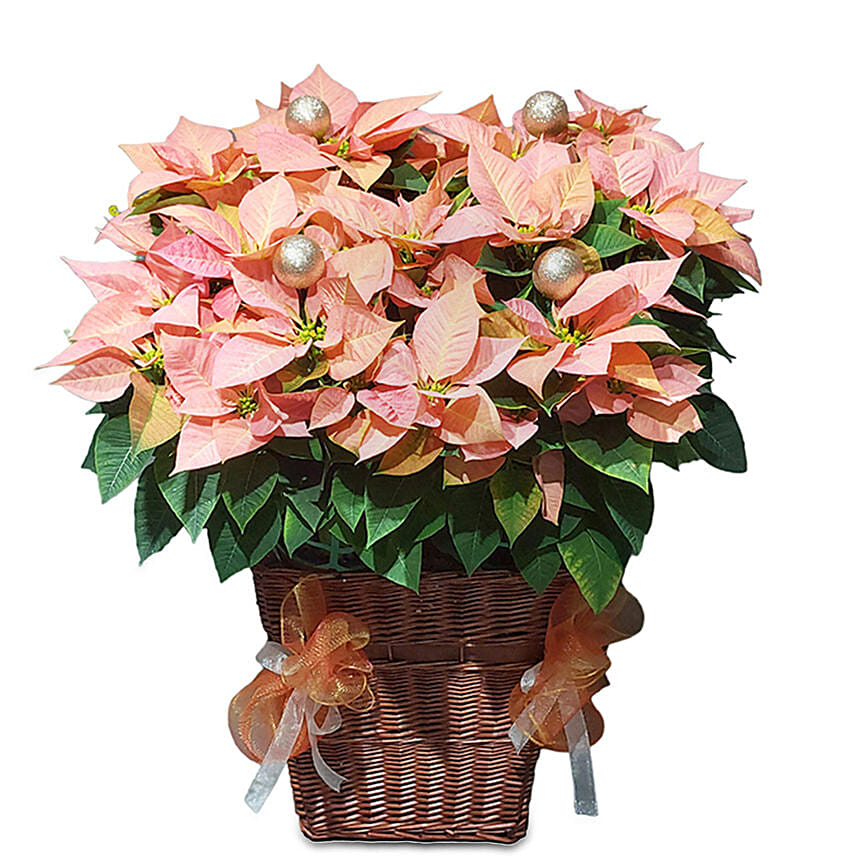 An Arrangement To Remember