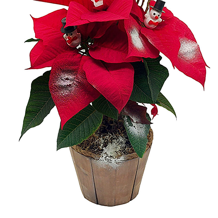 Decorated Poinsettia Pot