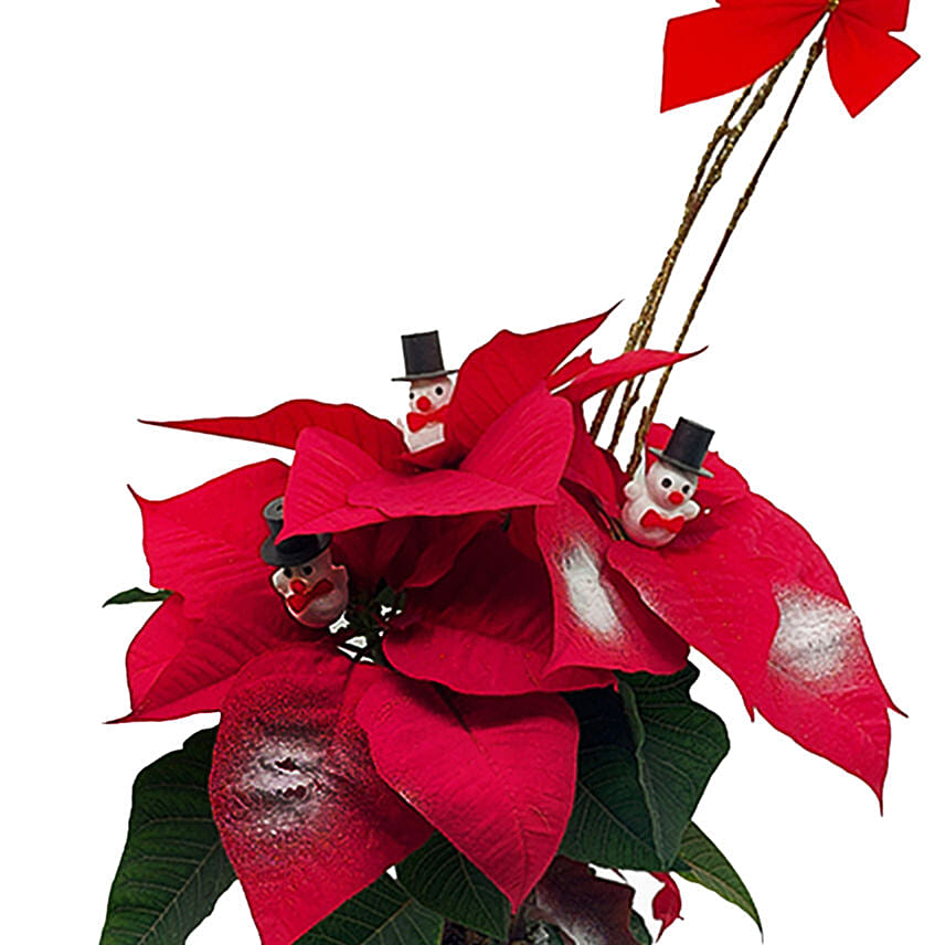 Decorated Poinsettia Pot