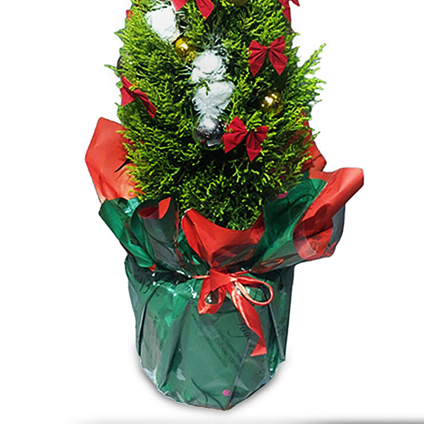 Eco Friendly X Mas Tree