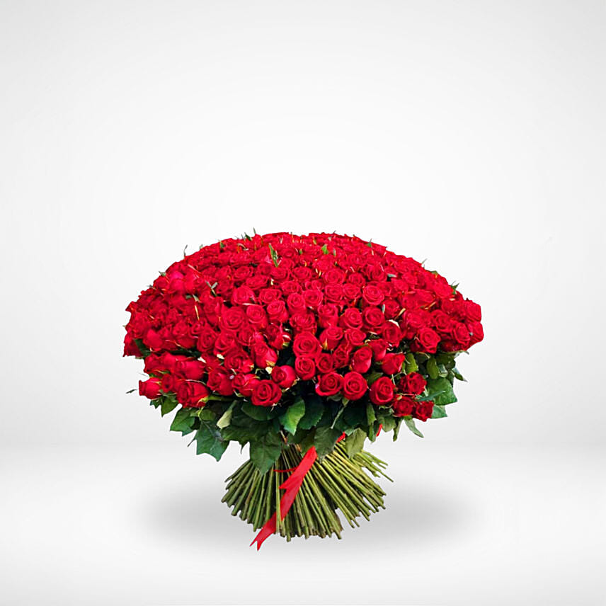 Eternal Red Embrace