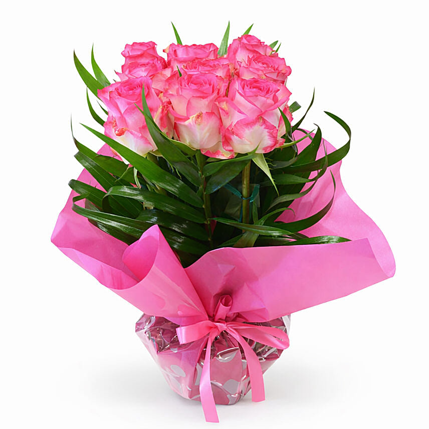 My Hero Pink Roses