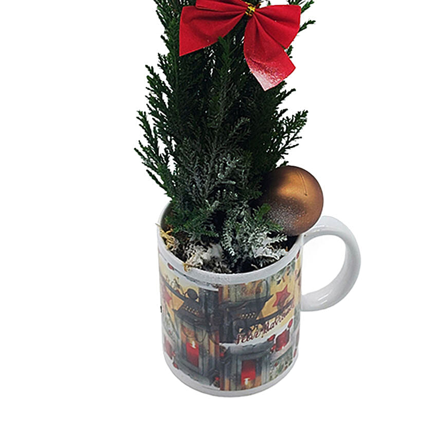 Poinsettia In A Mug
