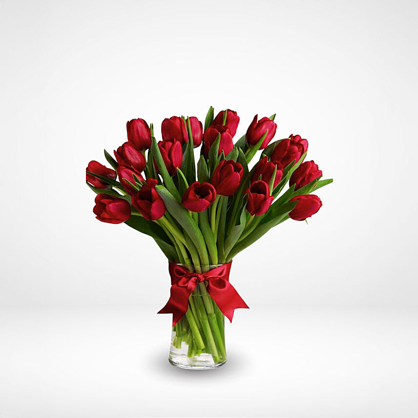 Simply Red Tulips