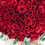 100 Roses Grand Expressions