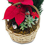 Christmas Plant Basket