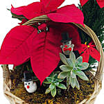 Christmas Plant Basket