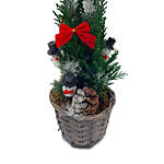Christmas Tree In A Basket